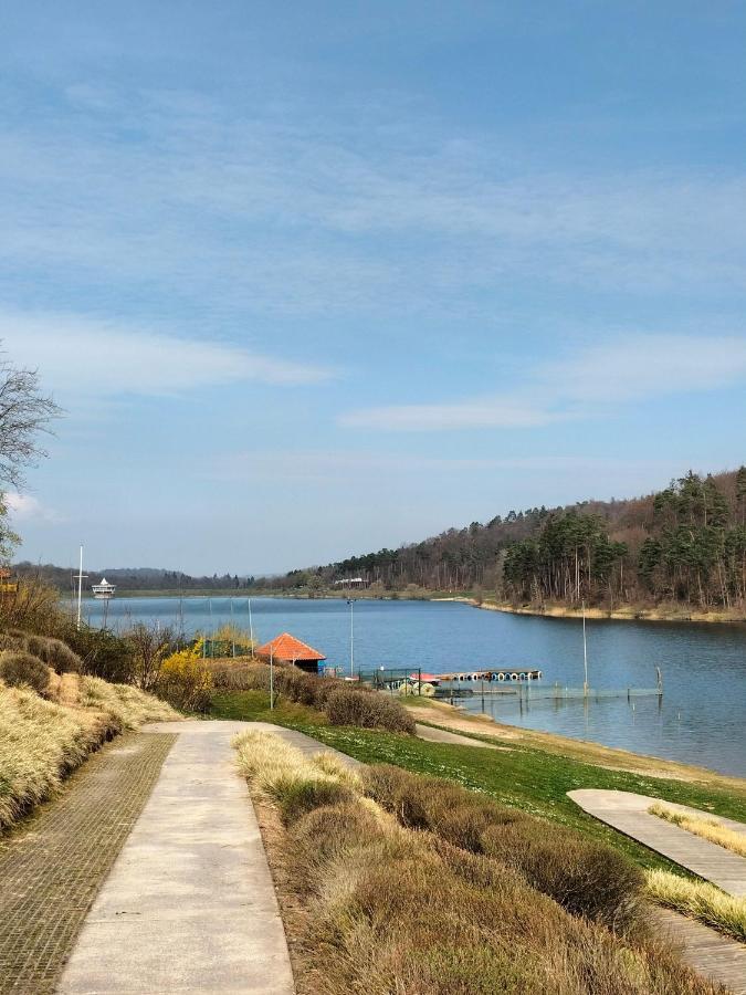 Neues Ferienhaus am schönen Ferienpark Twistesee Nähe Bad Arolsen Exterior foto